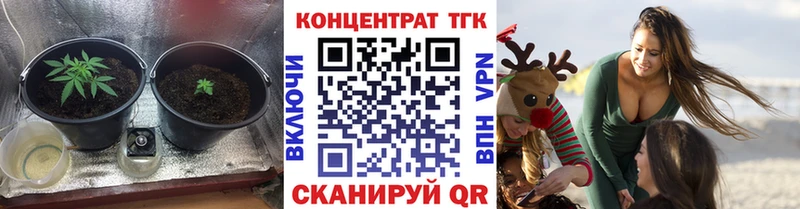 дарнет шоп  Сертолово  МЕГА ТОР  Дистиллят ТГК Wax 